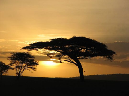 Serengeti-Sun-set